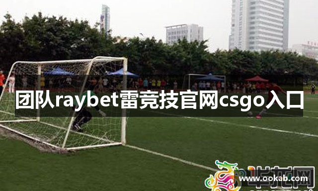 团队raybet雷竞技官网csgo入口